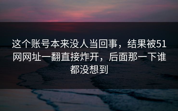 这个账号本来没人当回事，结果被51网网址一翻直接炸开，后面那一下谁都没想到  第1张